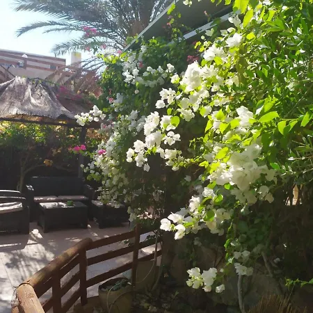 Ferienwohnung Lotus turtle garden Eilat Exterior foto