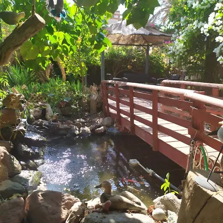Ferienwohnung Lotus turtle garden Eilat Exterior foto