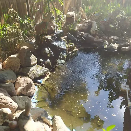 Ferienwohnung Lotus turtle garden Eilat Exterior foto