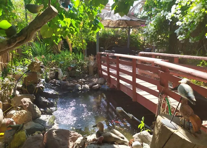 Lotus Turtle Garden Eilat
