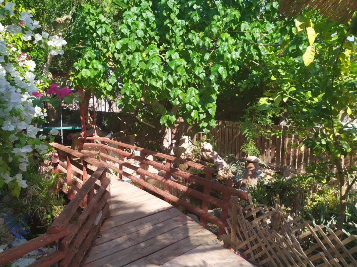 Lotus Turtle Garden דירה אילת